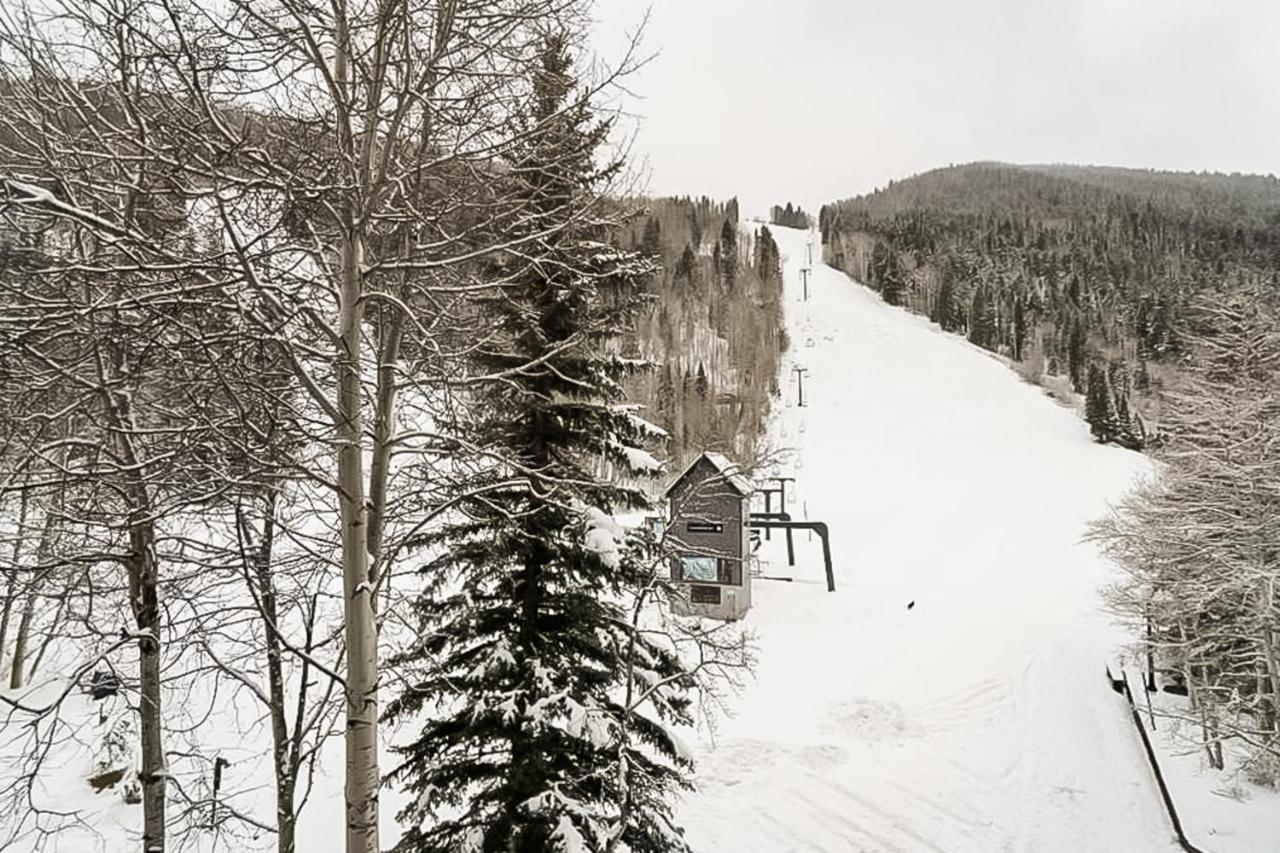 Cimarron Mountain Retreat Daire Telluride Dış mekan fotoğraf