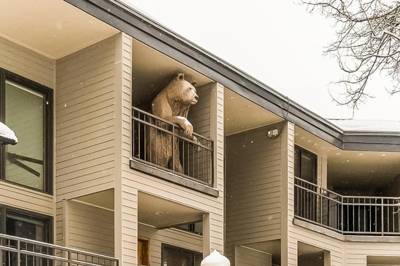 Cimarron Mountain Retreat Daire Telluride Dış mekan fotoğraf